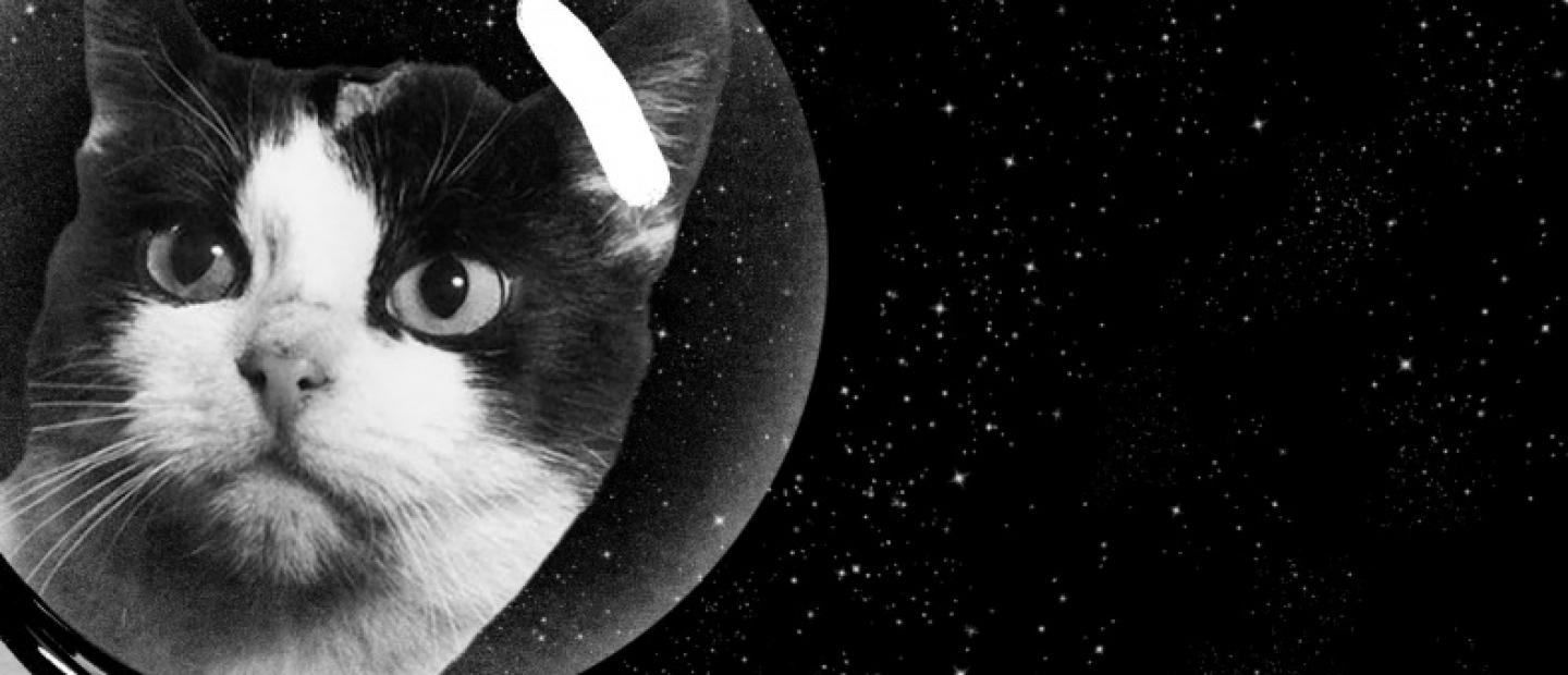 Prva maca u svemiru bi napokon mogla dobiti spomenik kakvoga zaslužuje
