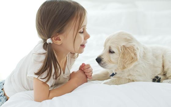 Ljudi imaju više empatije prema psima nego prema ljudima