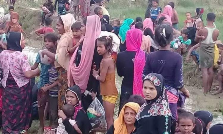 UN: Broj Rohinja izbjeglih u Bangladeš dostigao 624.000
