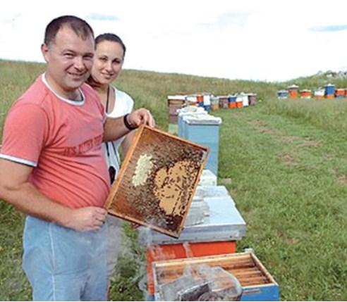 Toni Lovrić iz Širokog Brijega nastavlja porodičnu pčelarsku tradiciju: Nakon napada pčela odlučio se posvetiti pčelarstvu