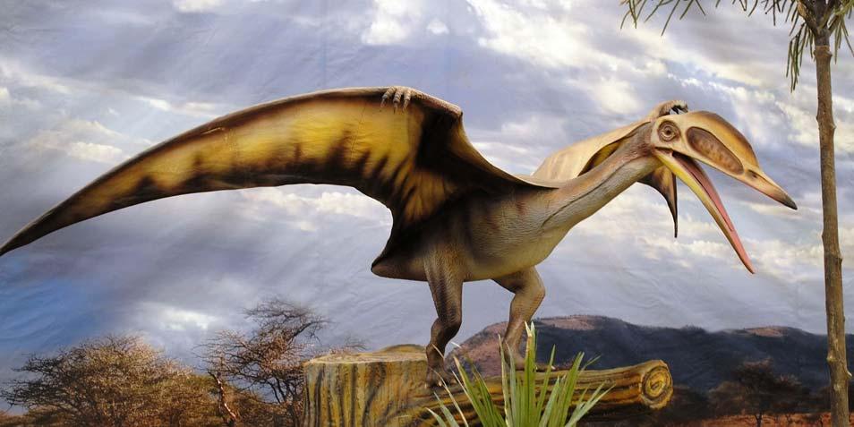 Ima ostatke embriona: U Kini pronađeni fosili 215 jaja pterosaurusa