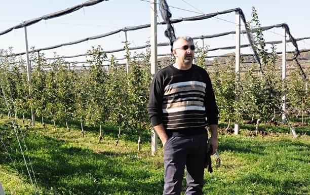 Porodični biznis Miloševića iz Tutnjevca: Godišnje imaju 150 tona voća