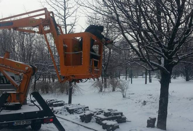 KJKP "Park" u radnoj akciji: Uklonjen stari i opasni bagrem u Pruščakovoj, danas radovi u Alipašinoj ulici
