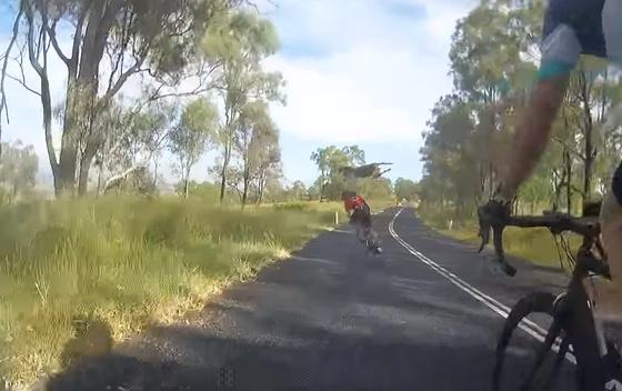 Kengur nokautirao biciklistkinju dok je preskakao put