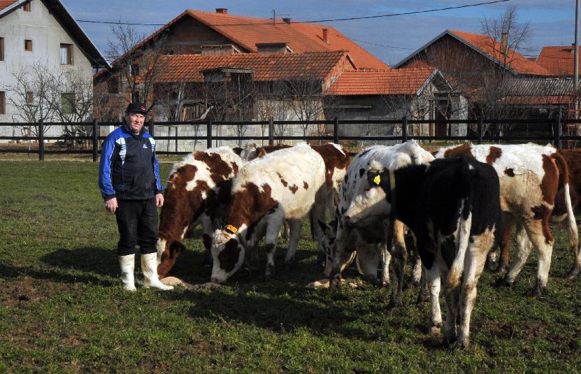 Željko Trifković se vratio iz Australije: Prodaje dnevno oko 450 litara mlijeka
