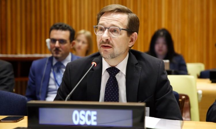 Generalni sekretar OSCE-a Tomas Greminger u posjeti BiH