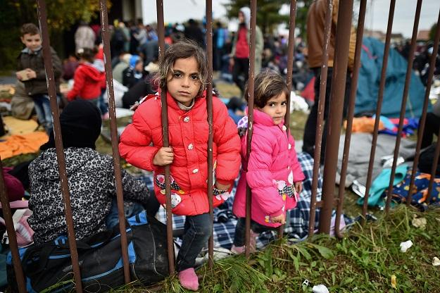 Potvrđeno za Avaz.ba: Priprema se dolazak oko hiljadu migranata u BiH