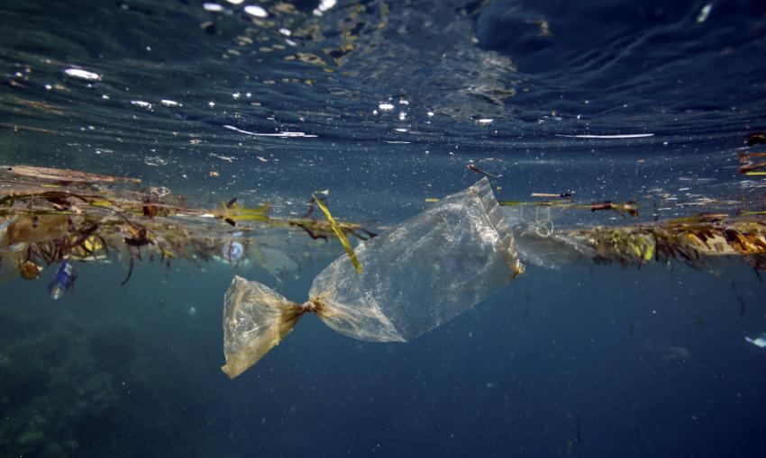 Naučnici upozoravaju: "Otok smeća" u Tihom okeanu 16 puta veći nego što se mislilo