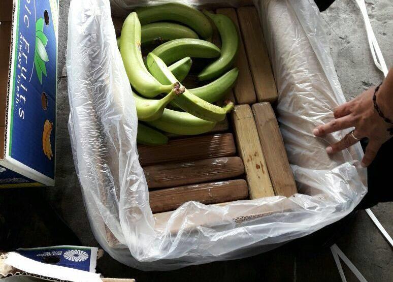 Zaplijenjeno devet tona kokaina u kontejneru s bananama
