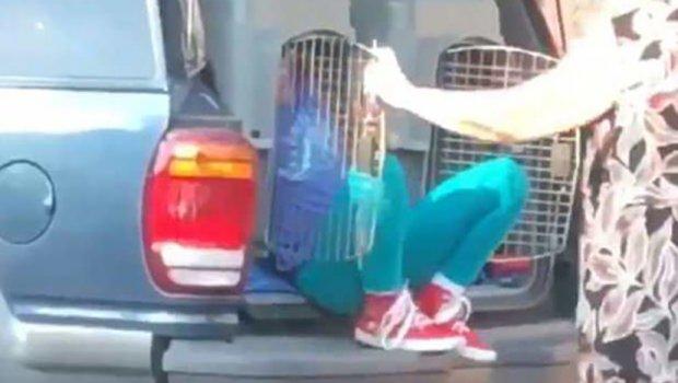 Šokantan snimak uznemirio građane u SAD: Baka otvorila gepek, a iz transportera za pse izašli njeni unuci