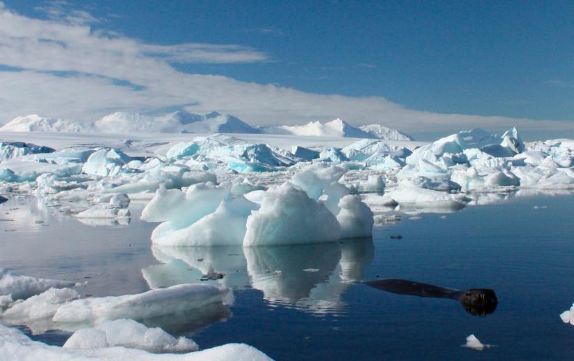 Uznemirujući podaci: Najnovije istraživanje otkriva da se Antarktik topi alarmantnom brzinom