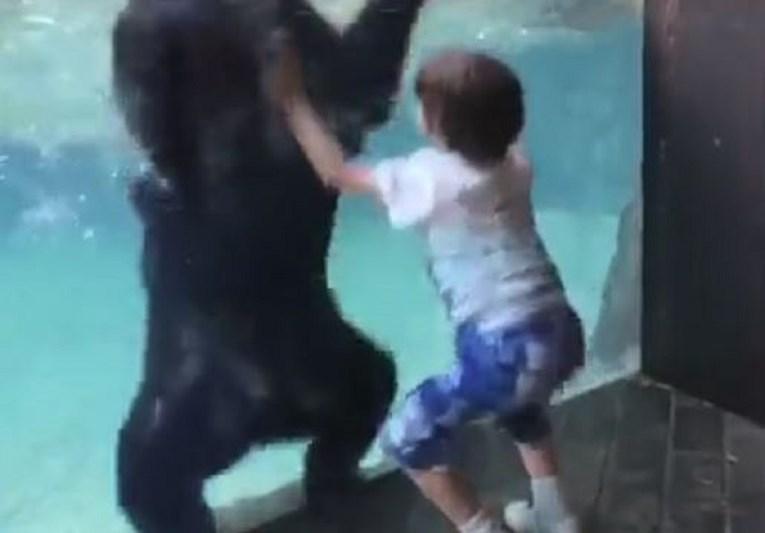 Dječak skakao od sreće kad je vidio medvjeda, ljudi ne mogu vjerovati šta je on napravio