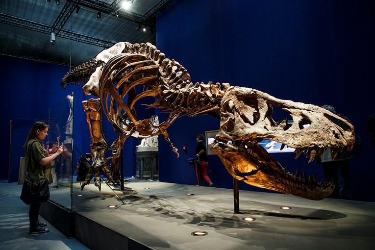 Istraživanje: Tiranosaur rex nije mogao isplaziti jezik