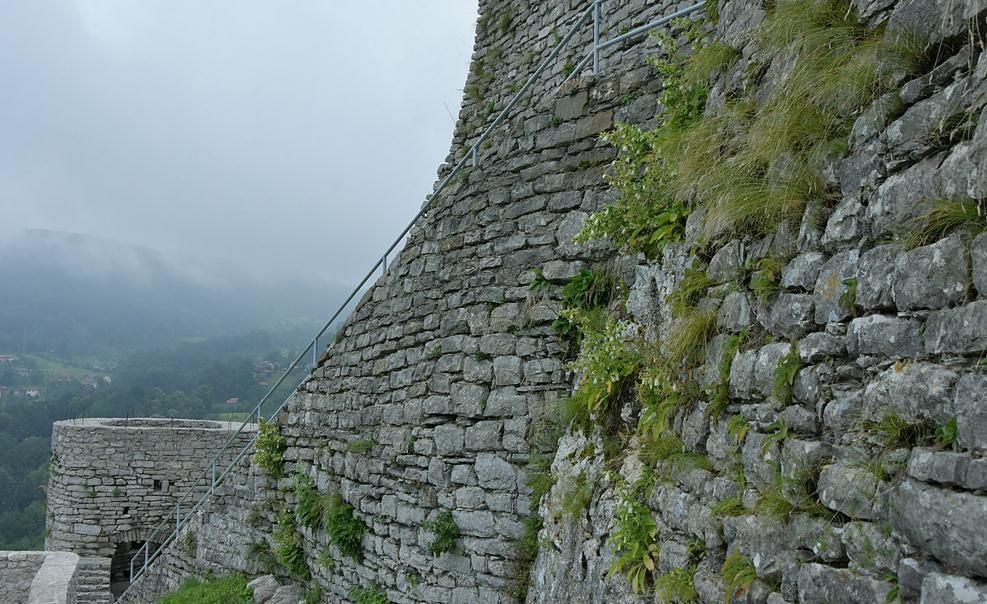 Na zidinama Starog grada našli endemsku bosansku zvončiku
