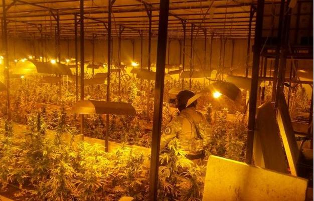 Međunarodna policijska akcija u Bijeljini i Vukosavlju: Tri osobe uhapšene, otkriven laboratorij za uzgoj marihuane