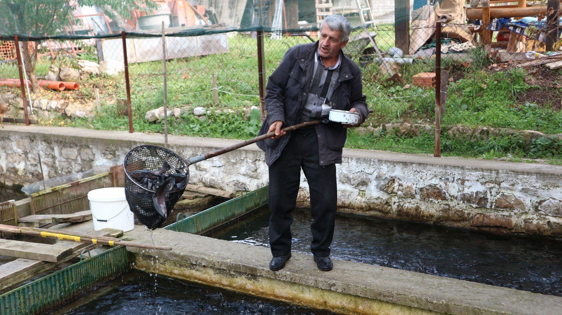 Osman pored bazena za uzgoj pastrmke: Zadovoljan prodajom - Avaz