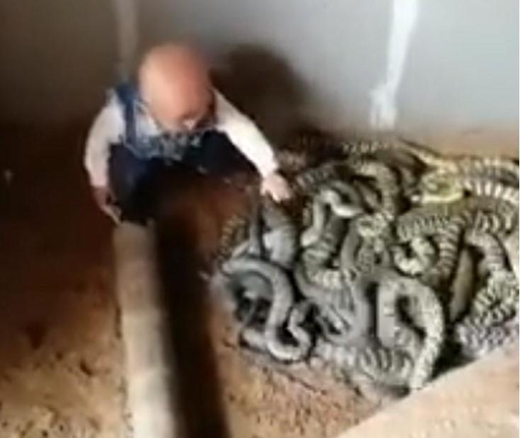 Dječak bez ikakvog straha se igra sa zmijama - Avaz