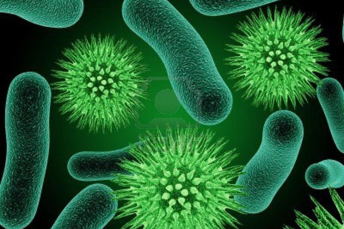 Pretpostavlja se da bakterija nekako mijenja sluzokožu crijeva - Avaz