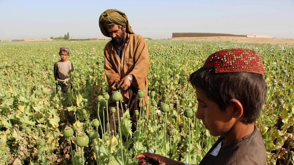 Afganistan: Velika suša prouzrokovala glad - Avaz