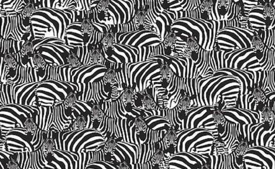 Možete li pronaći klavijature među zebrama i srušiti rekord od 58 sekundi