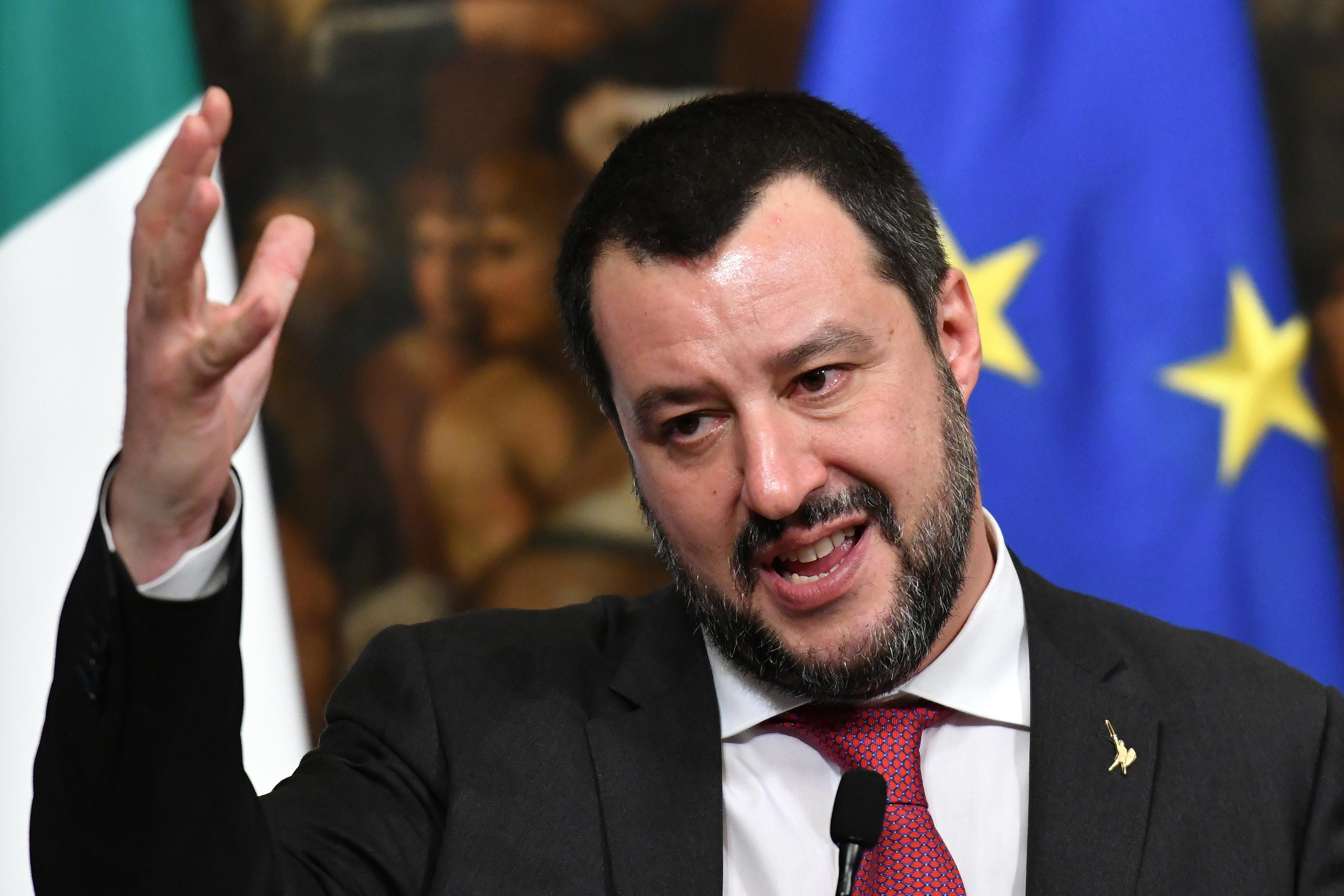 Salvini: Nadam se da Francuzi neće glasati za Makrona na evropskim izborima