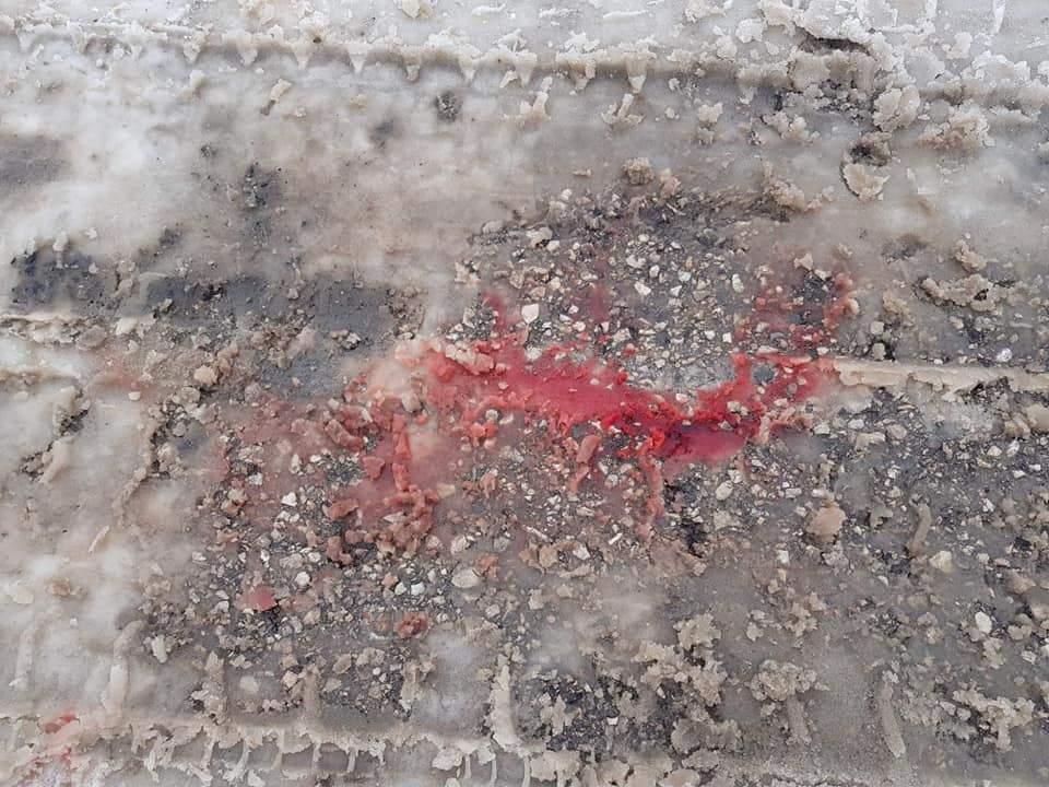 Tragovi krvi na snijegu - Avaz