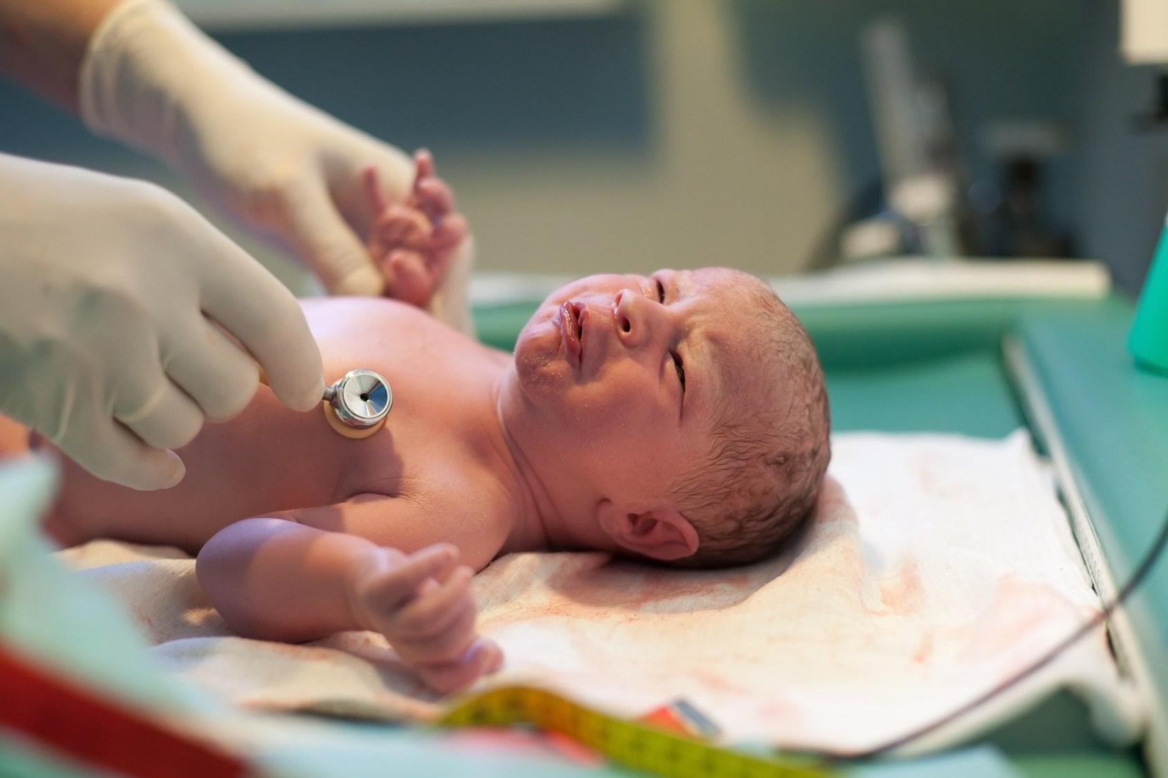 Novorođenčad teže oko 3.300 grama i duga su oko 50 cm - Avaz