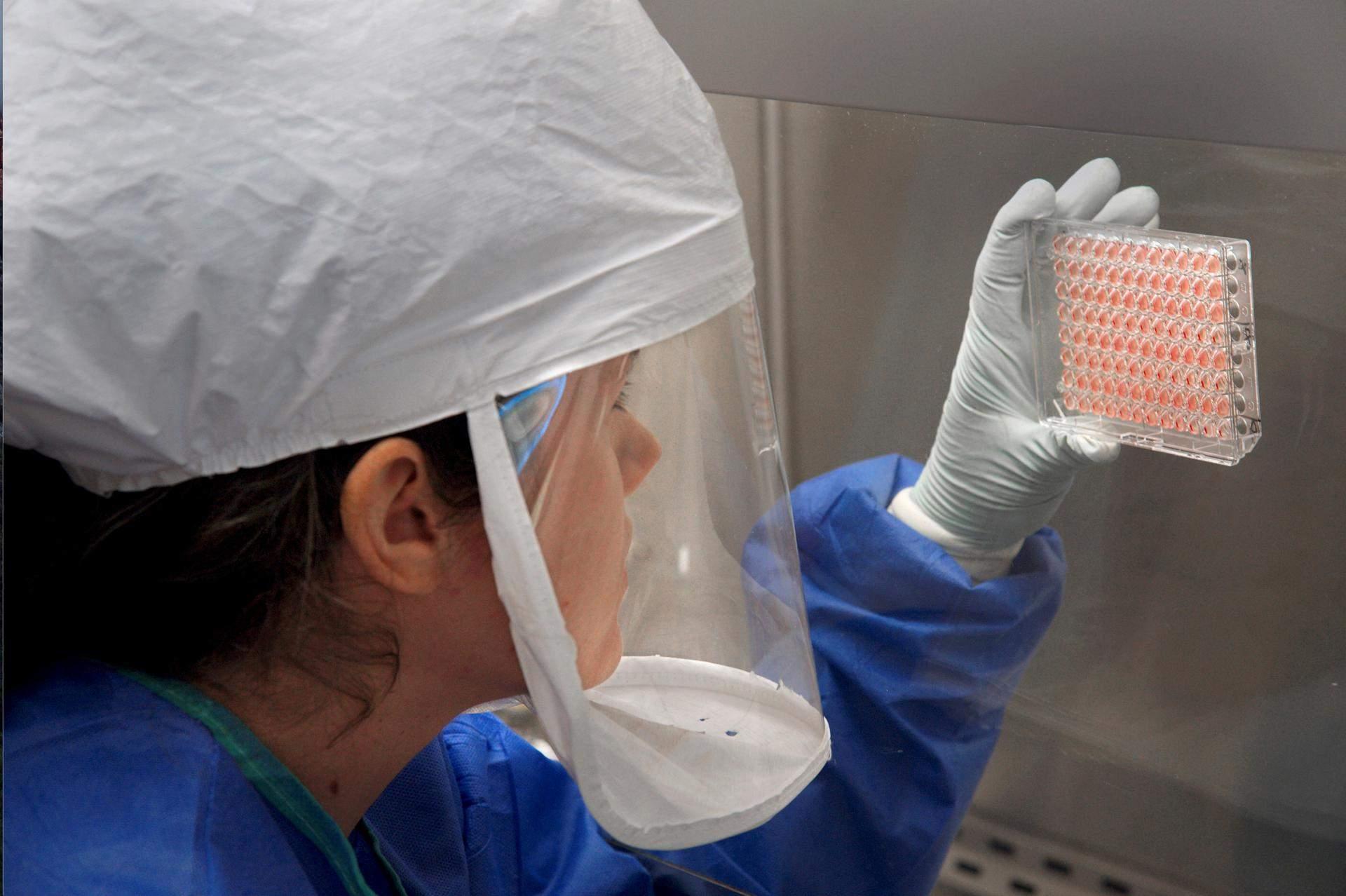 Laboratorijske analize potvrdile prisustvo gripe - Avaz