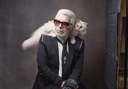 Srce joj je slomljeno: Mačka Karla Lagerfelda ''oglasila se'' na Instagramu