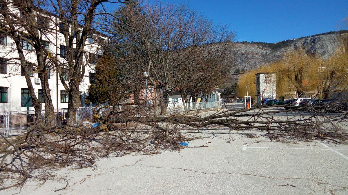 Bura polomila drveće i uz livanjsku bolnicu - Avaz