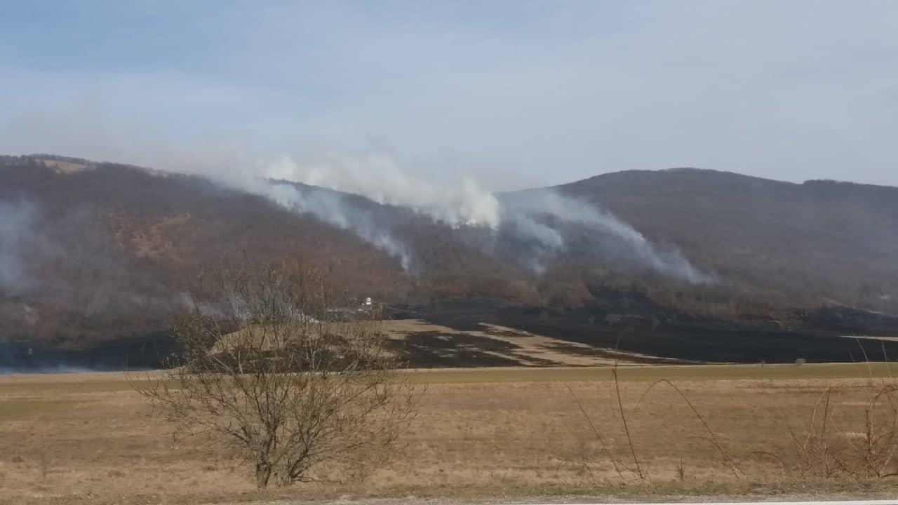 Vatra zahvatila veći dio šume - Avaz