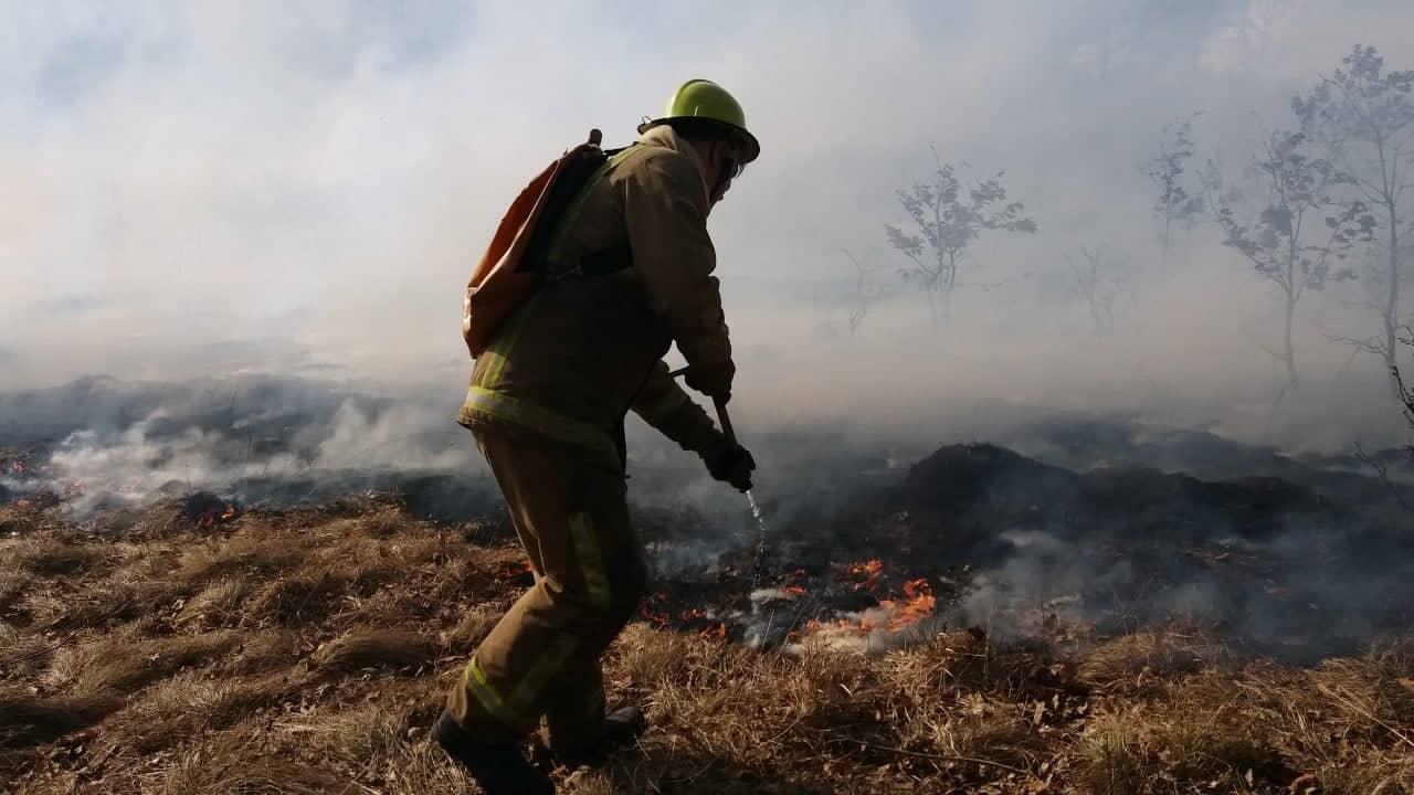 Vatrogasci na terenu - Avaz