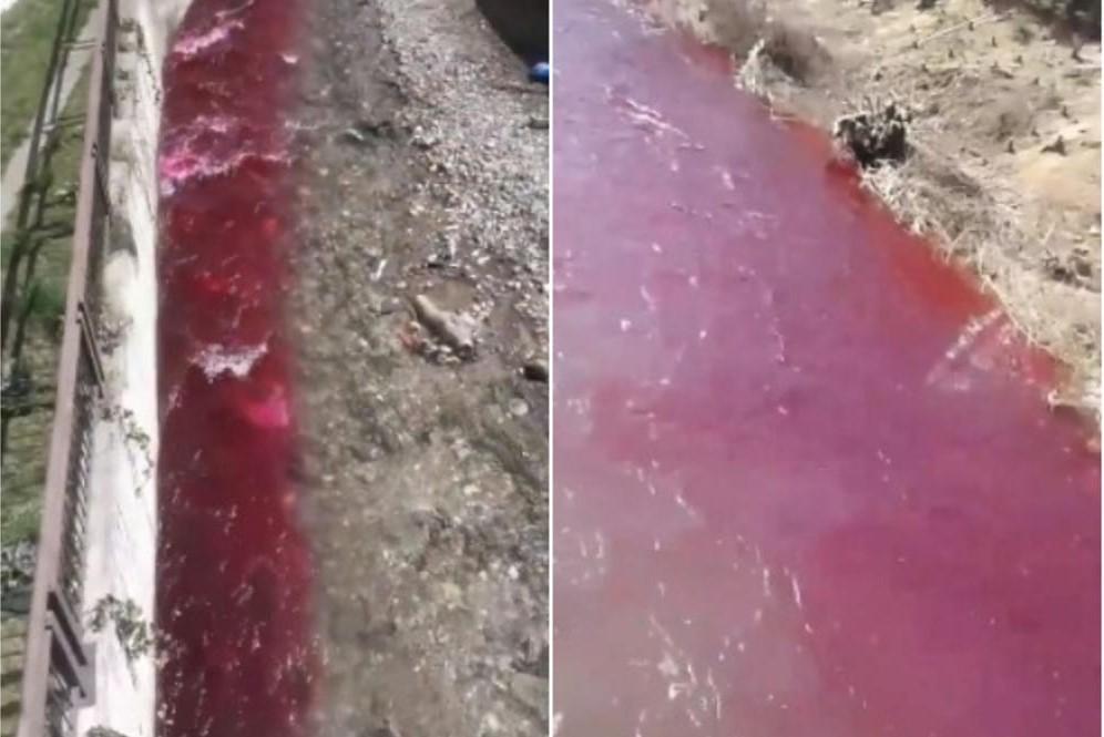 Pogledajte jeziv prizor: U Bijelom Polju tekla krvava rijeka