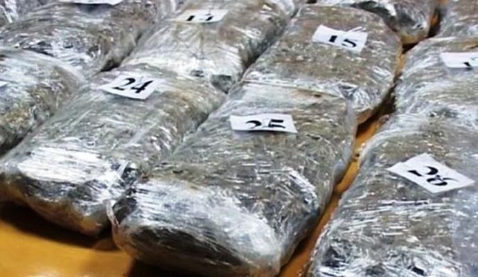 Uhapšen Crnogorac sa 233 kilograma marihuane