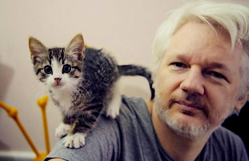 Džulijan Asanž osnivač Wikileaksa - Avaz