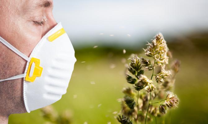 Prava istina o sezoni alergija: Kada se pojavljuju različite vrste polena i ima li uopće lijeka