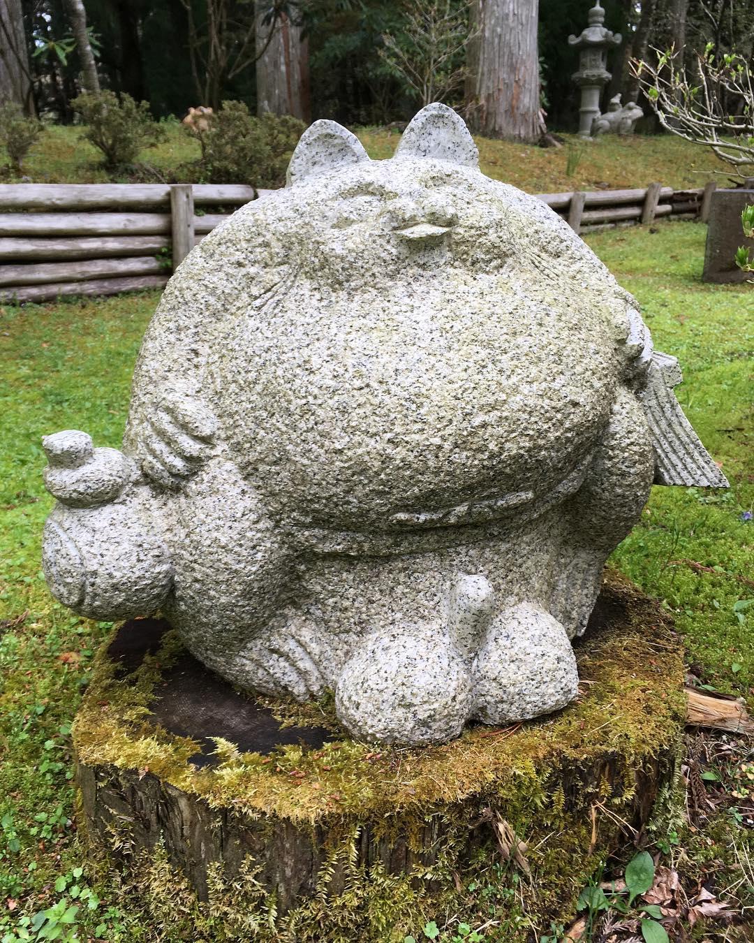 Kip u Japanu - Avaz
