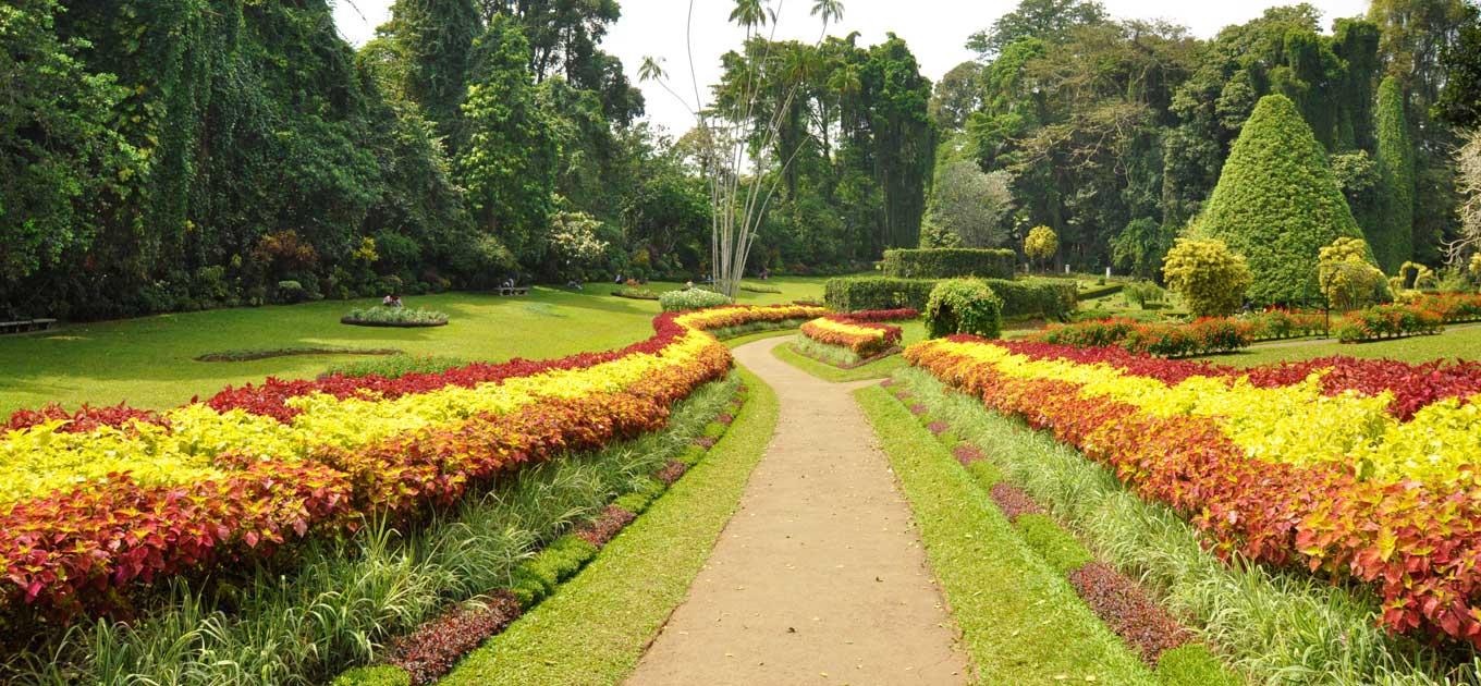 Botanička bašta Peradenja sa 147 hektra najveća je botanička bašta Šri Lanke - Avaz