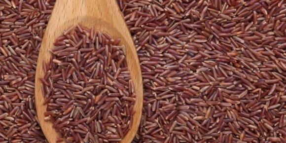 Crvena riža – zbogom holesterolu