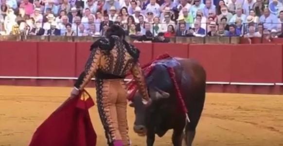 Ono što je ovaj matador napravio biku naljutilo korisnike društvenih mreža: Zao i pokvaren um