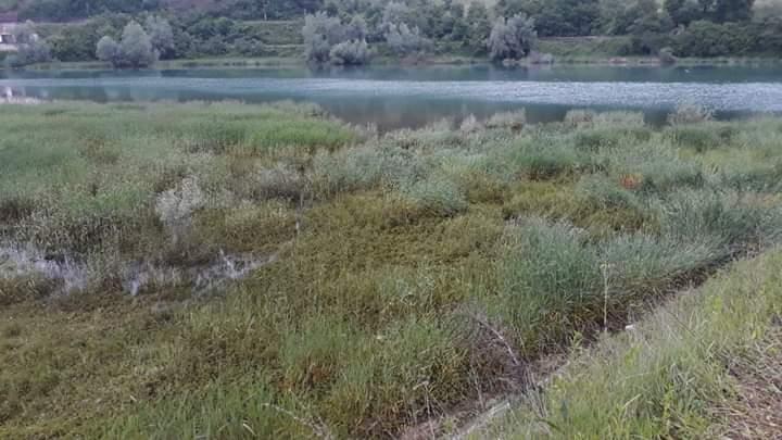 Pričinjena još jedna ekološka katastrofa na Jablaničkom jezeru
