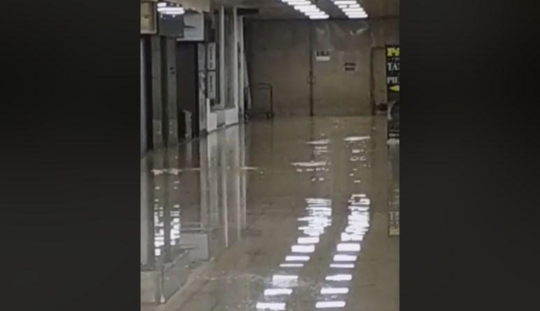 Poplavljeni hodnici u "Skenderiji"