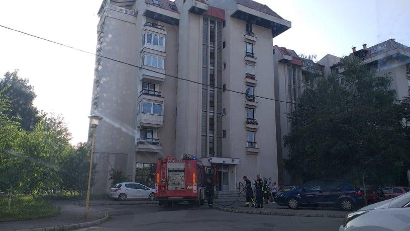 Pripadnici Profesionalne vatrogasne brigade Tuzla gasili požar - Avaz