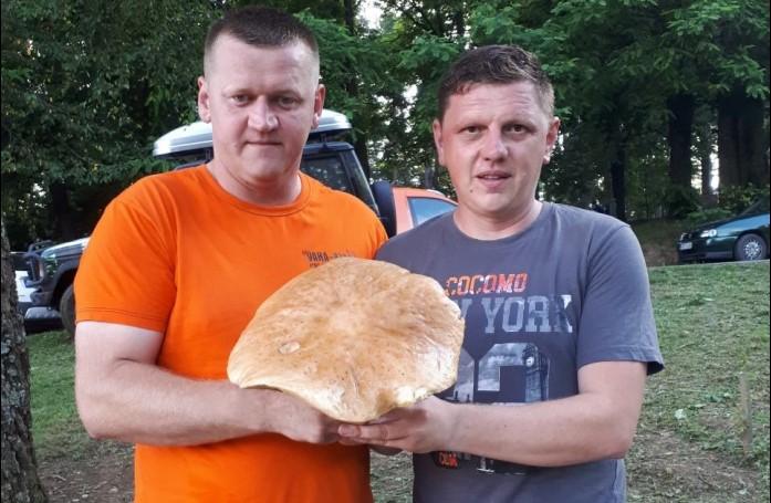 Nurkić i Avdić: Ubrali vrganj težak 1,36 kilograma - Avaz