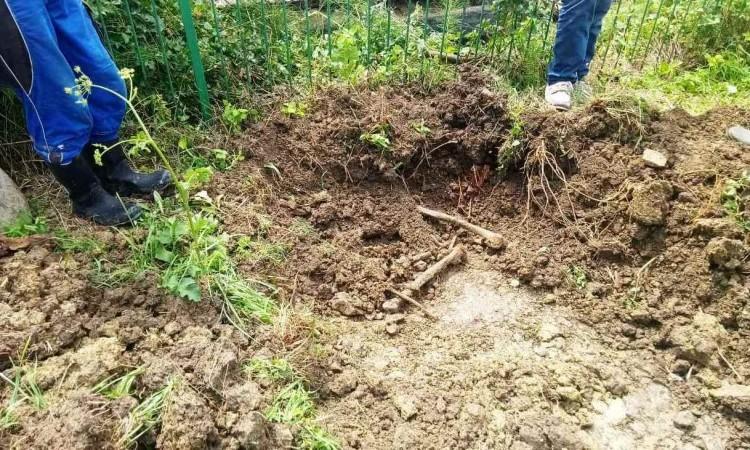 Iskopavanje na lokalitetu Carevo polje - Avaz