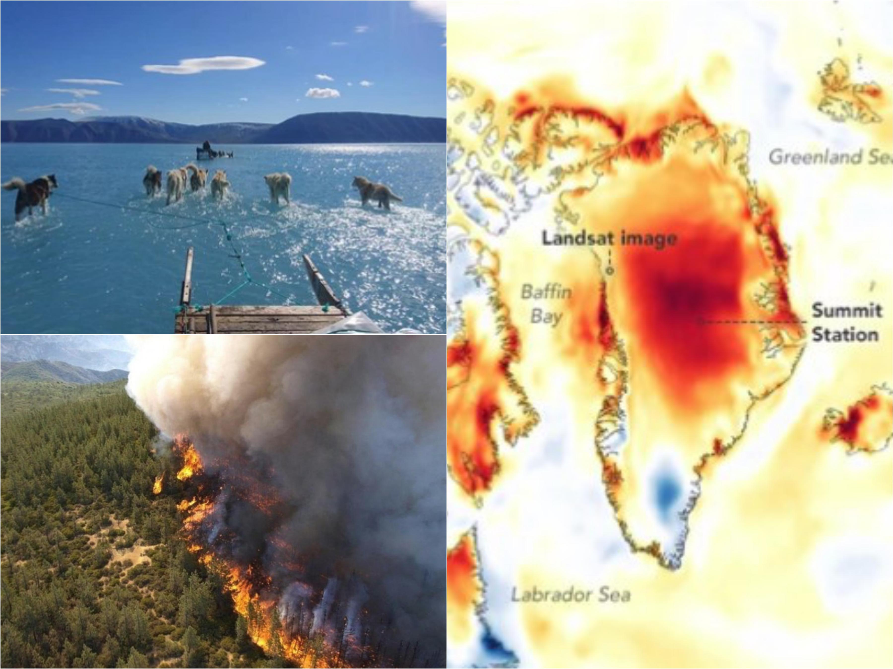 Nezapamćene vrućine: Otopljavanje na Grenlandu, na Aljasci 32 stepena, Sibir u plamenu, pakleno i u Evropi