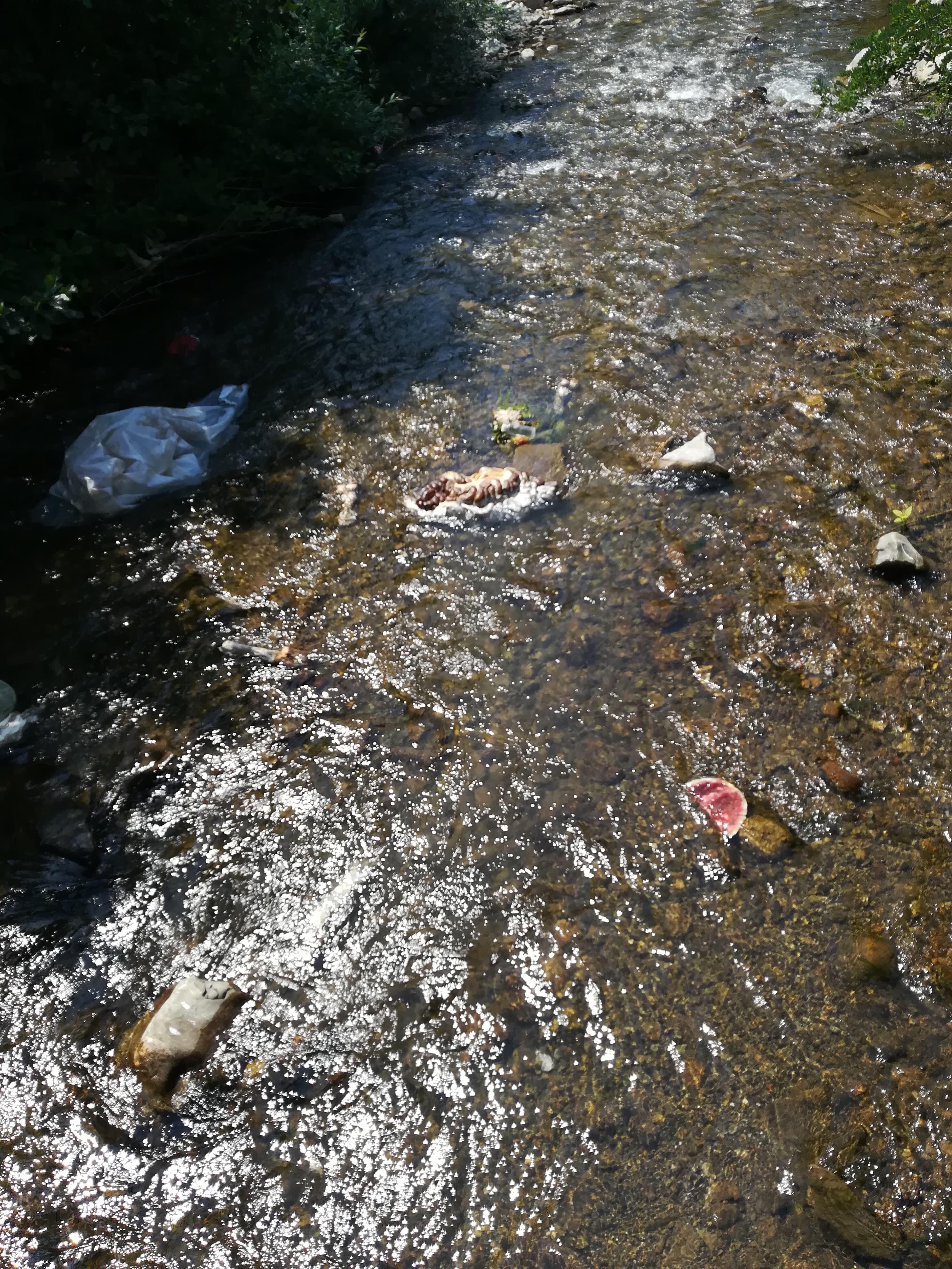 Mještani Kasapovića kod Zenice ogorčeni zbog kurbanskog otpada u Babinoj rijeci