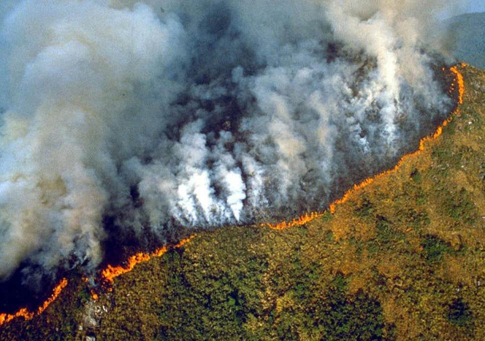 Vojska gasi vatru u Amazoniji - Avaz