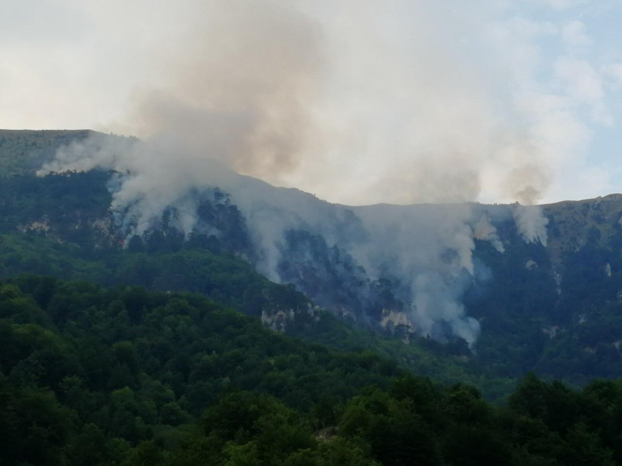 Požar zahvatio više hektara - Avaz