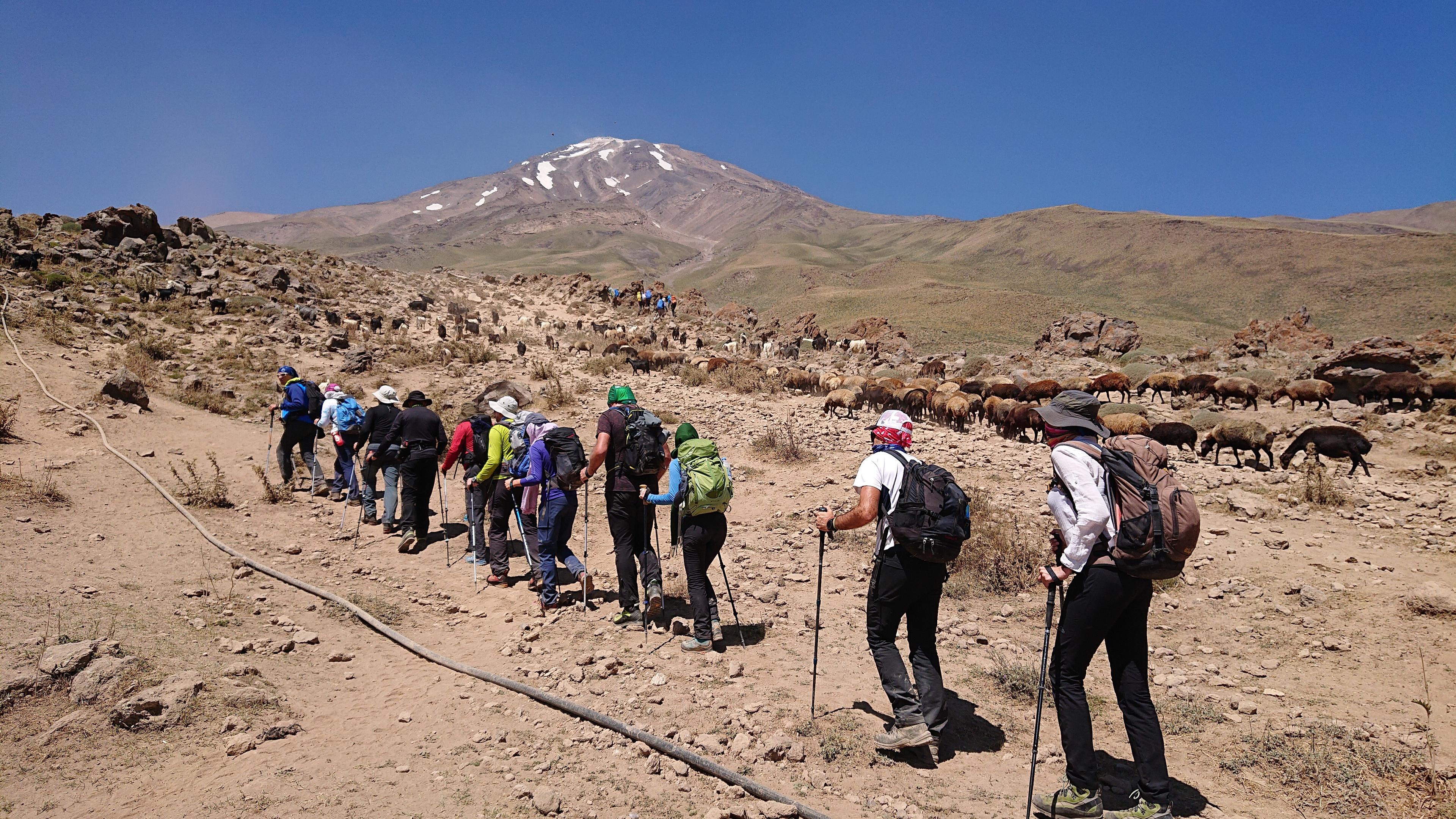 Ekspediciju činilo 12 planinara iz pet zemalja - Avaz